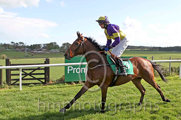 The Amarillo Kid & P Townend - Winner (3, purple and yellow quartered) - CU2D2259-e
