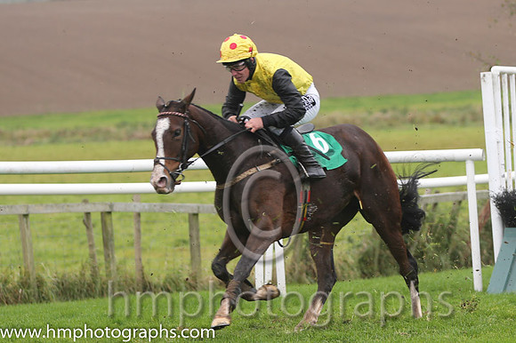 07 LottoLove and P T Enright - PU - 07th (6 ,Yellow, black sleeves ) Trainer - Ms O'Connell