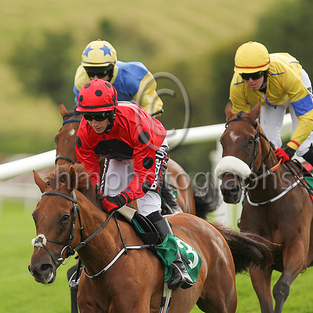 01st Mischievious Max and J J Slevin ( 3 , red, black spot ) Trainer - Joseph P O?Brien , Owner - Colmark Stud Partnership