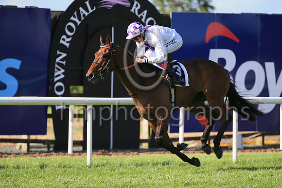 01st Dancila (3 white, purple panel ) Jockey: Kevin Manning , Trainer: J S Bolger