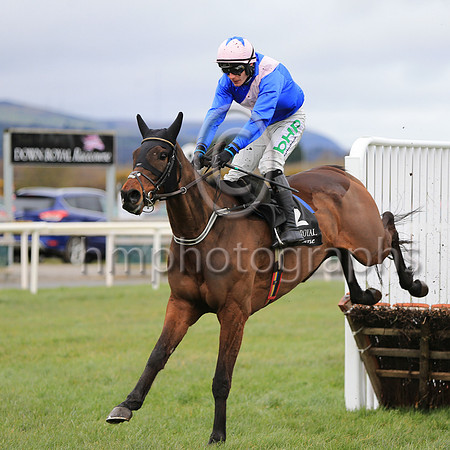 01st Roll Again and P Townend ( 12 , blue, pink sash ) Trainer - W P Mullins , Owner - Mrs Paul Shanahan  Mrs John Magnier