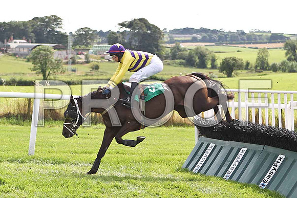 Mighty Whitey 3rd, Jockey Mr D R Fox - FT8E2934-e