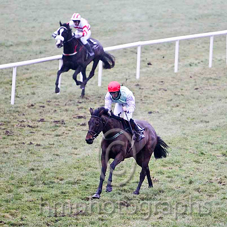 Streamtown (Red Cap) 4th, Jockey Mr S Crawford & Spiker the Biker 5th, Jockey Mr N T Slevin  - CU2D2182-e