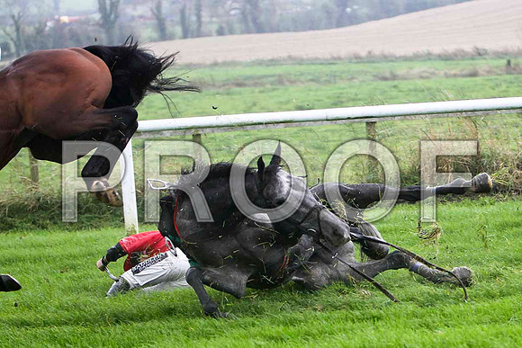 Jack Bene , Fell - Jockey P T Enright - FT8E5220-e