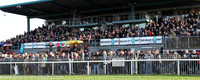 Down Royal - The Spectators