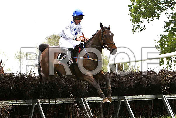 Nanna Maura , Winner , Jockey - G B Watters - FT8E2593-e