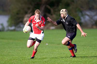 IMG_2177-e