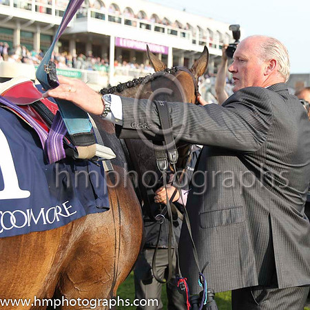 01 Fiesolana and W J Lee - - 01st (1 ,dark Blue, light blue cross sashes ) Trainer - W McCreery