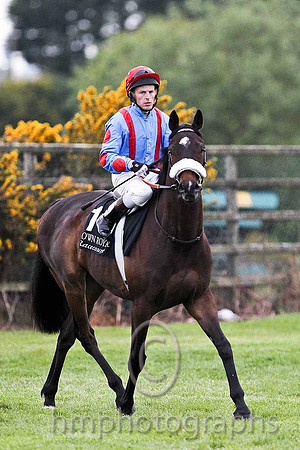 R7 - Musical Express 7th, Jockey M c Hussey - FT8E0573-e