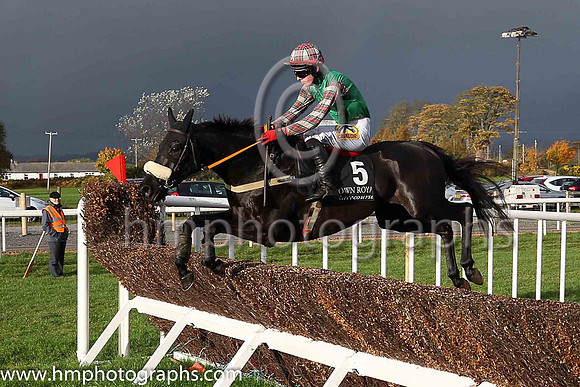03rd Round Tower and D Meyler ( 5 , light green, dark blue diagonal stripes ) Trainer - K Thornton , Owner - James Francis Brennan