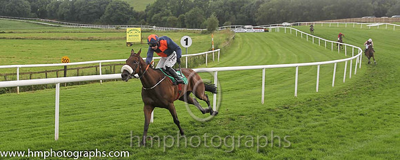 01 Tom's Article & Ms N Carberry - winners (3, orange and blue qtrd) - FT8E0006