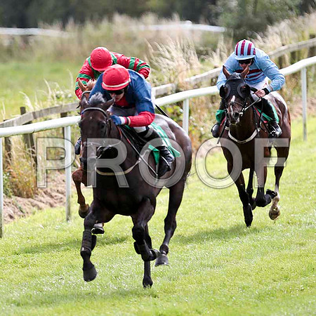 Breeze With Ease - 6th, Jockey P Townend -  CU2D9444-e