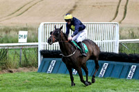 2011-08-29th-Race 6 - 1720 - Willie Murphy Jewellers Downpatrick Handicap Hurdle of 8,000 Euro