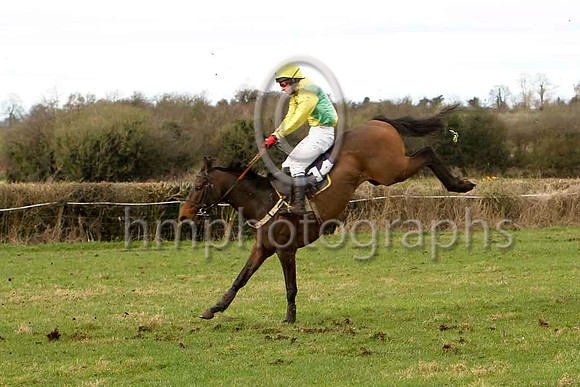 Noah's Boy & N McParlan - 5th - FT8E0015-e