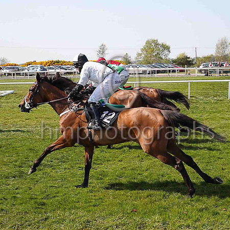 07th Galloping Anger and R P Treacy ( 12 , white, black panel ) Trainer - Matthew J Smith , Owner - Kevin John Smith