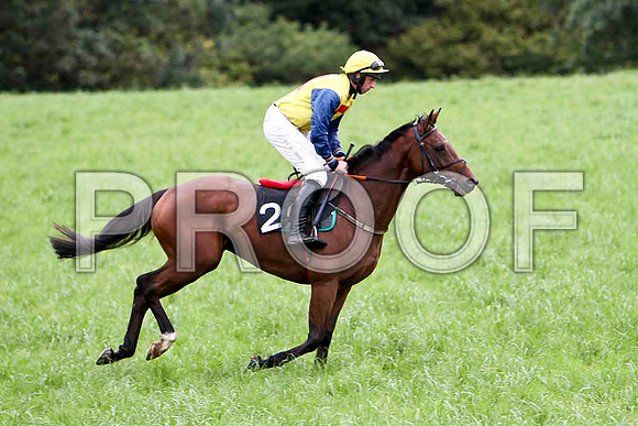 Allstar Glory - CU2D2562-e