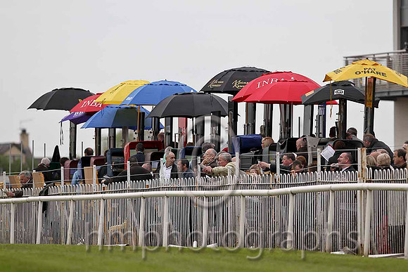 R6 - The Betting Ring - FT8E0545-e