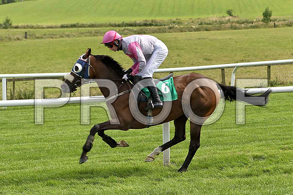 Greengables 8th Jockey, S G McDermott - FT8E2943-e