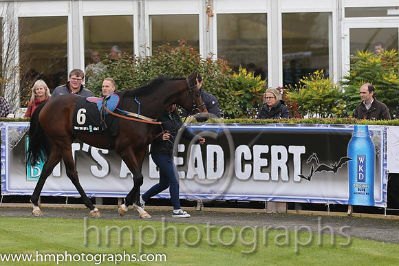 03 Orgilgo Bay and D N Russell - - 03rd (6 ,white and black diamonds ) Trainer - J c McConnell