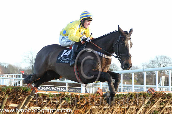 17 Tama Taskin & B F Cawley - 17th (14, yellow, royal blue spots) - CU2D9872-81