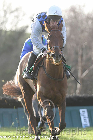 08 Diamond Gesture & P T Enright - 8th (4, royal blue and black check) - FT8E1243-68