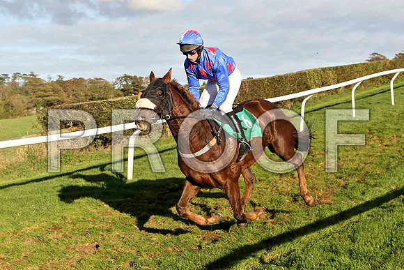 Ashfield Present - Jockey Mr P N O'Brien - PU - FT8E4462-e