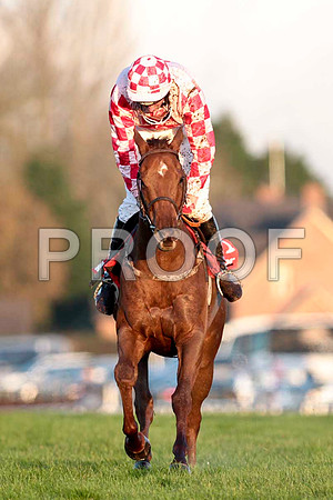 Ask The Farmer - 12th , Jockey Mr C S McGuinnness - CU2D9996-e