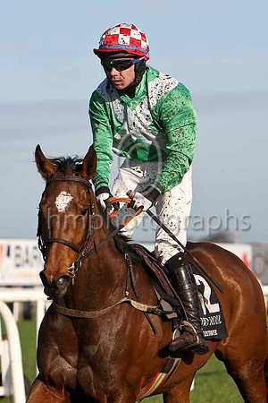 Crannagh , 13th - Jockey A P Thornton - FT8E6452-e