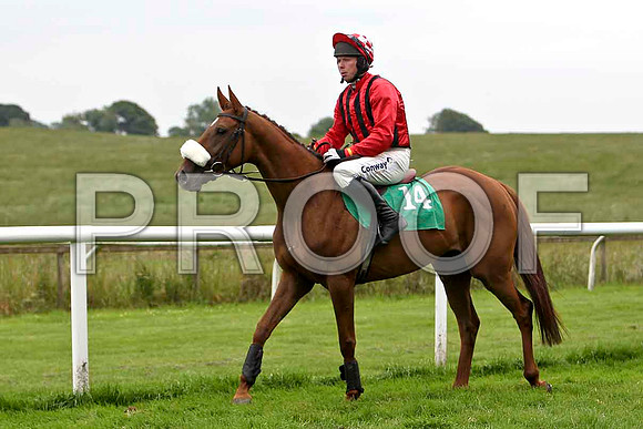 Fastec Express PU, Jockey A E Lynch- CU2D0827-e