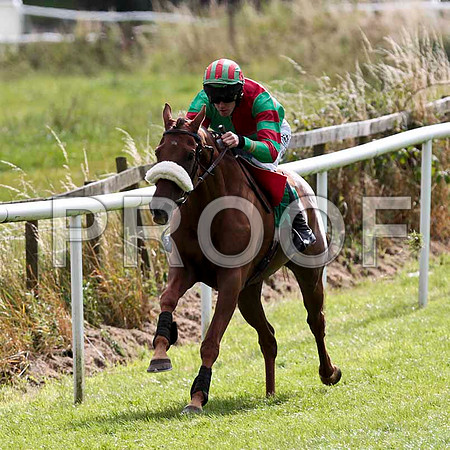 Claragh Native - Winner , Jockey Andrew J McNamara -CU2D9435-e