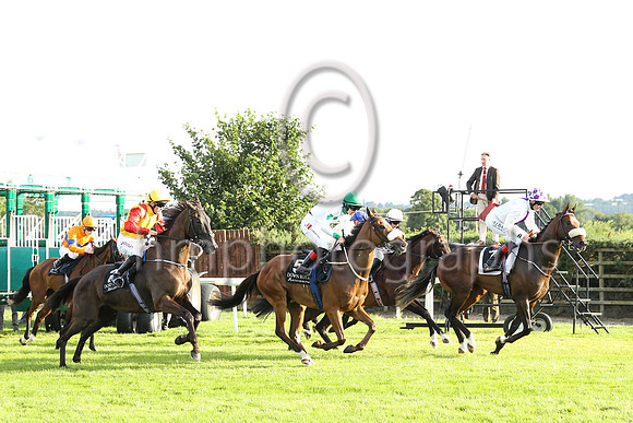 Starter Joe Banahan watches as the horses leave the starting gates for Her Majesty's Plate (Listed Race) at Down Royal on 22nd July 2022