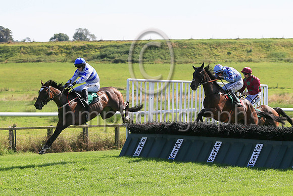 Ask The Leader ridden by Darragh O'Keeffe jump the last to win the Kingdom Healthcare Handicap Hurdle at Downpatrick Racecourse Ladies Day Meetin on Monday. Ask The Leader is trained by David Christie