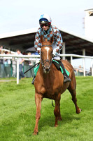 And Whatever Else 9th, Jockey J D Moore - CU2D1744-e