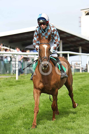 And Whatever Else 9th, Jockey J D Moore - CU2D1744-e