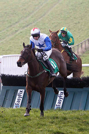 Mayo Mystique - 4th, Jockey D J Bates - FT8E0416-e2