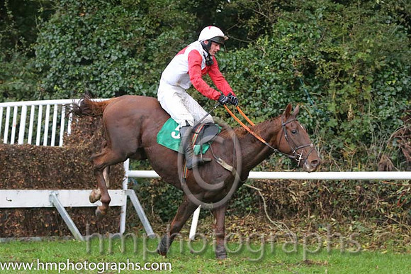 02 Mia's Anthem and M Darcy - - 02nd (5 ,White, three red diamonds ) Trainer - N C Kelly