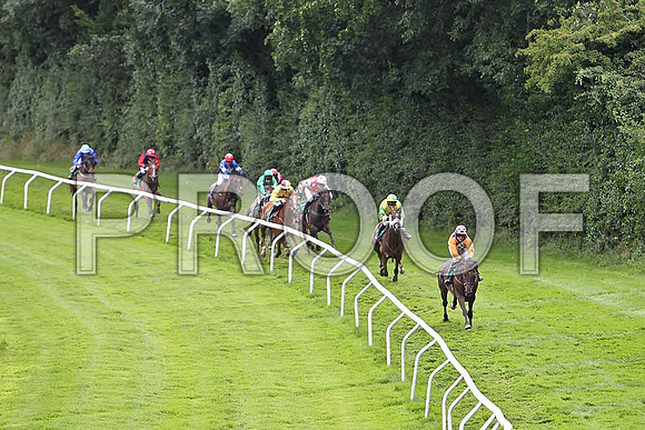 Down the Dale the eventual winner, Jockey T C Carroll in the lead followed by Templar Knoght 2nd, Jockey P Carberry and Breeze with Ease 3rd Jockey E J O'Connell - CU2D0779-e