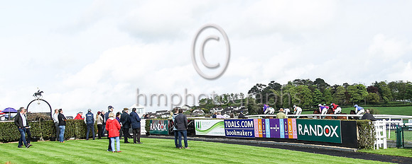Racing at Downpatrick