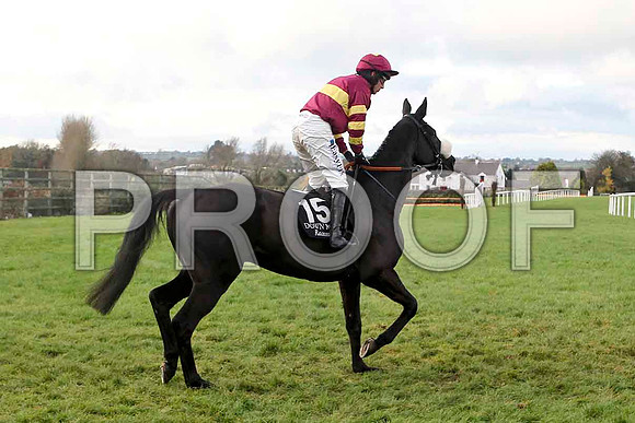 Imperial Storm , Jockey D J Condon - 2nd  - FT8E4878-e