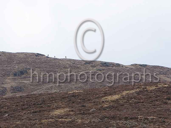 IMG_0684-e3a4j