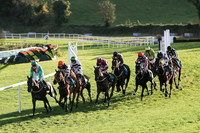 01st Flanking Maneuver and Mr F Maguire ( 2 , maroon, white star ) Trainer - N Meade , Owner - Gigginstown House Stud