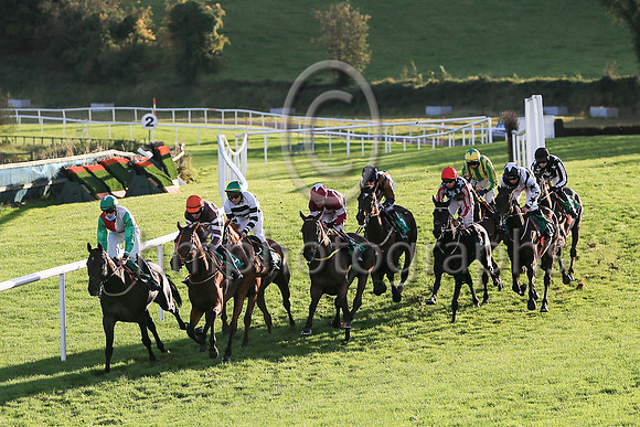 01st Flanking Maneuver and Mr F Maguire ( 2 , maroon, white star ) Trainer - N Meade , Owner - Gigginstown House Stud