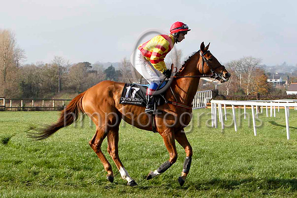 Another Harbour 13th , Jockey - D R Fox - FT8E6852-e