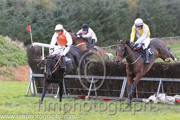 01 Whats Left & J J Codd - winner (16, white, red sash) - FT8E0873-39