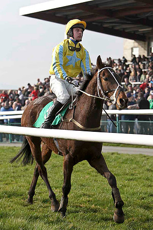 Mister Jim Jim  - 9th, Jockey B R Dalton - FT8E0442-e