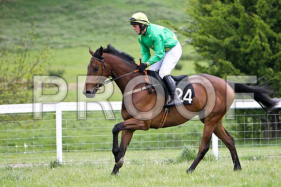 Sudskibay , 3rd, Jockey R James - FT8E2385-e