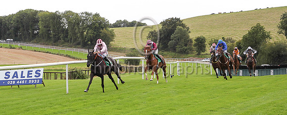 01st Westland Row and D N Russell ( 2 , pink, maroon star ) Trainer - G Elliott , Owner - Mrs Caren Walsh  John F Doyle