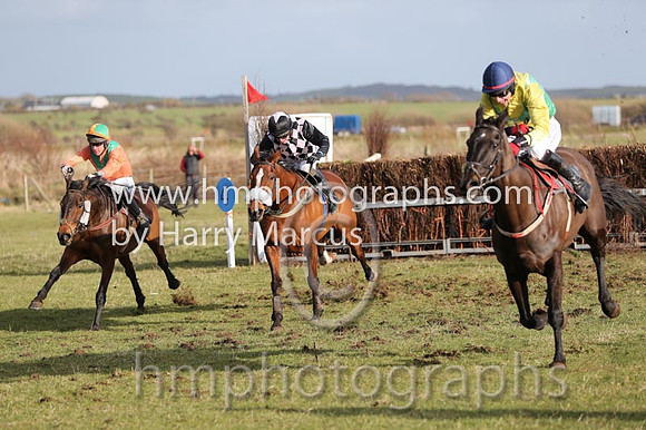 01 Mr Bolt  D H Lavery - Trainer : Sean McParlan, Black and tan check
