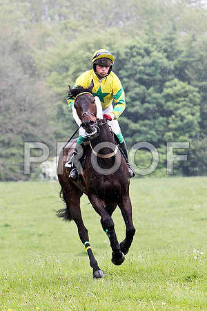 Mickey Monk , 7th, Jockey J A Jenkins - FT8E2689-e