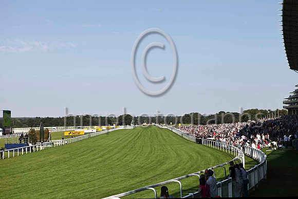 Ascot - Straight Mile Course - IMG_9997-e
